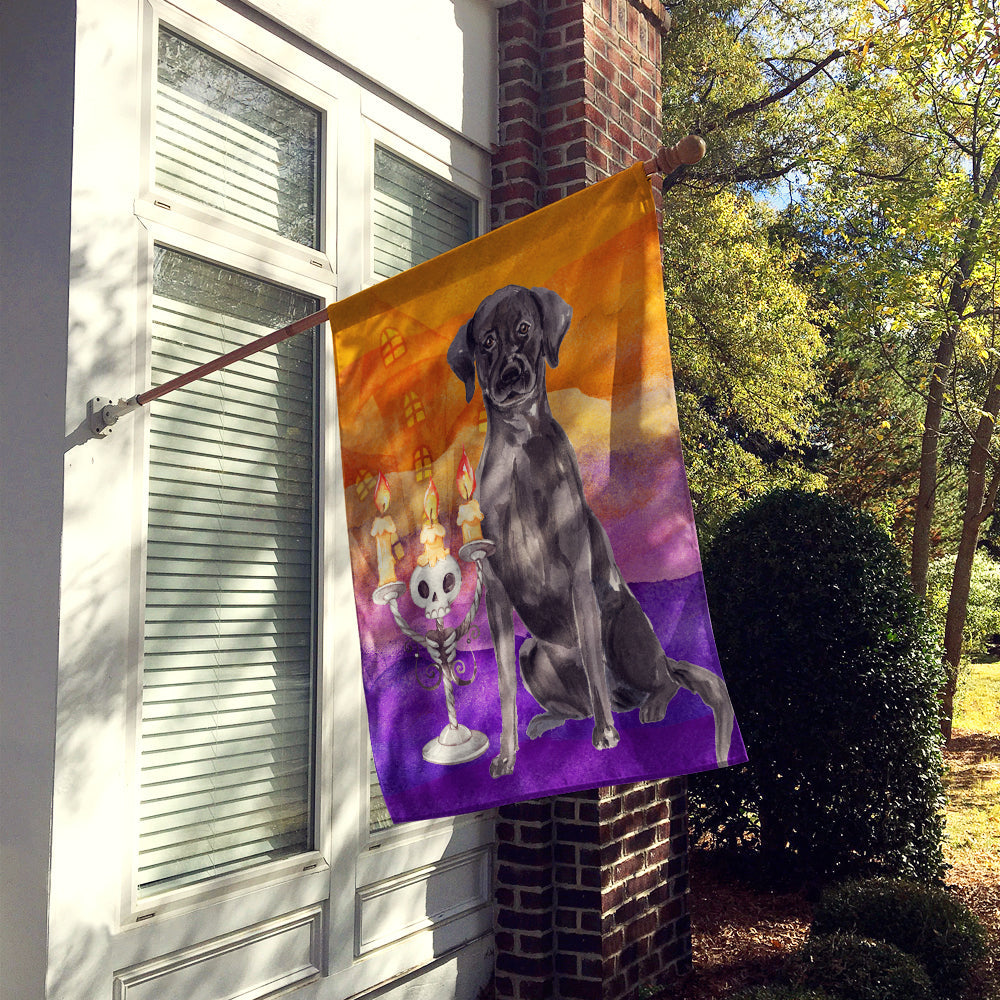 Halloween Black Labrador Retriever House Flag 28x40 Porch Sleeve Pole Decorative Outside Yard Banner Artwork Wall Hanging, Polyester
