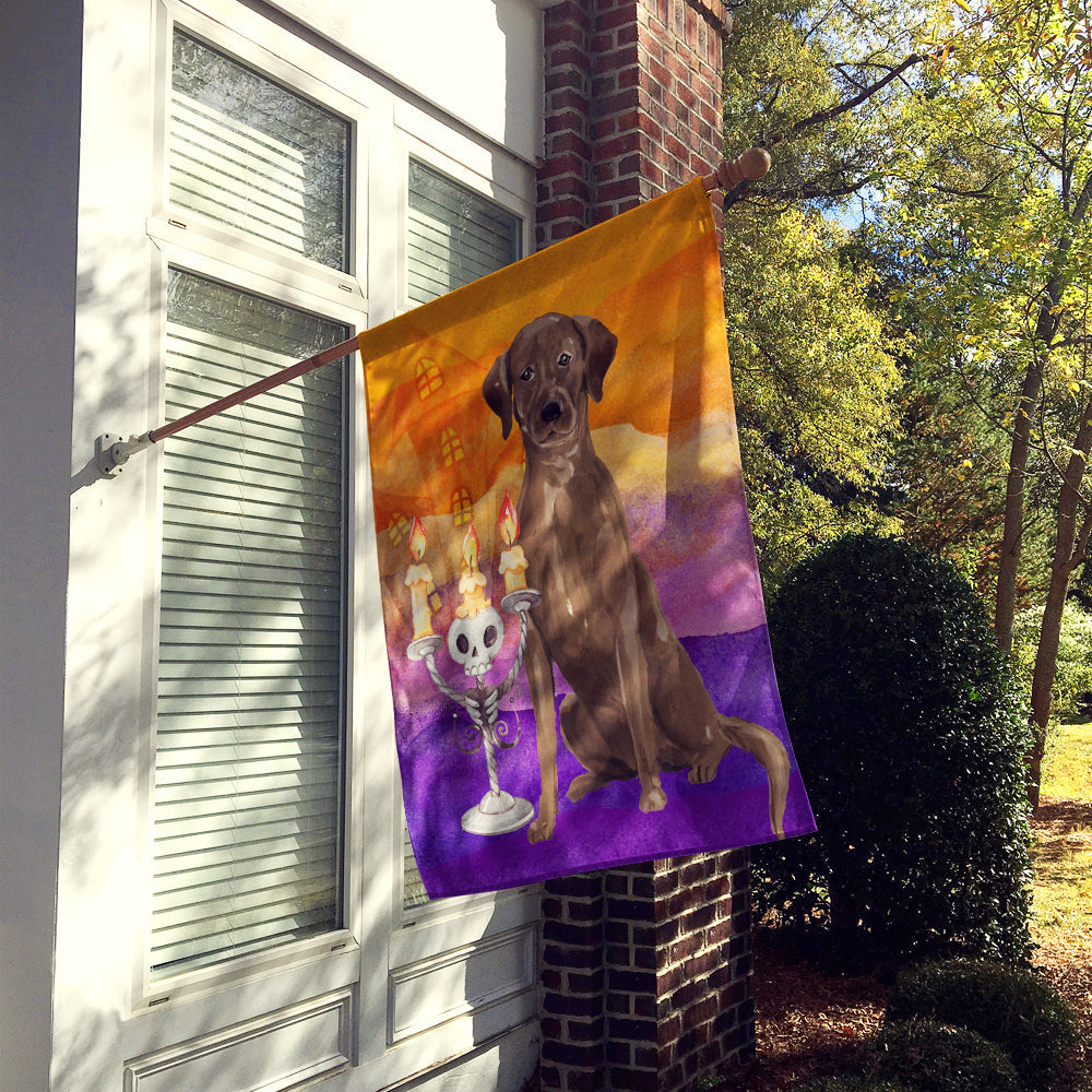 Halloween Chocolate Labrador Retriever House Flag 28x40 Porch Sleeve Pole Decorative Outside Yard Banner Artwork Wall Hanging, Polyester