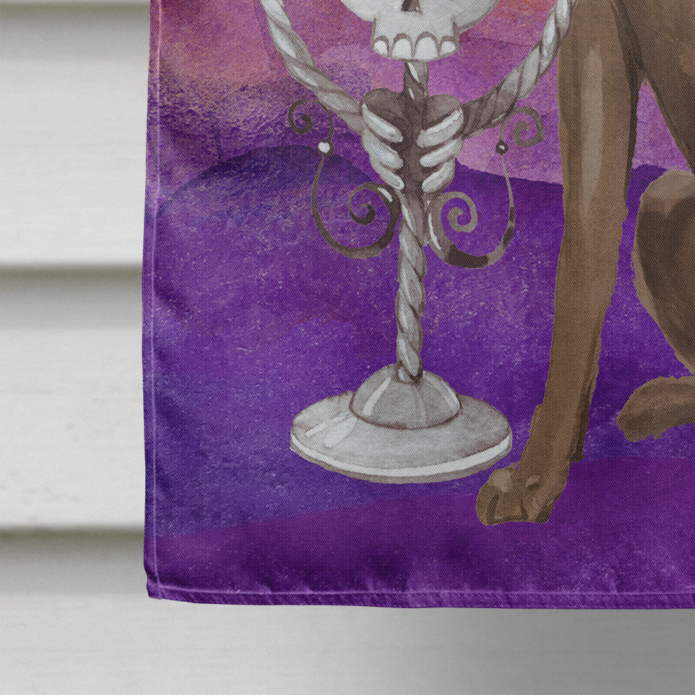 Halloween Chocolate Labrador Retriever House Flag 28x40 Porch Sleeve Pole Decorative Outside Yard Banner Artwork Wall Hanging, Polyester