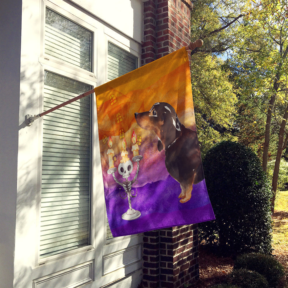 Halloween Black and Tan Dachshund House Flag 28x40 Porch Sleeve Pole Decorative Outside Yard Banner Artwork Wall Hanging, Polyester