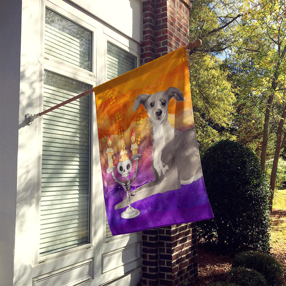 Halloween Italian Greyhound House Flag 28x40 Porch Sleeve Pole Decorative Outside Yard Banner Artwork Wall Hanging, Polyester
