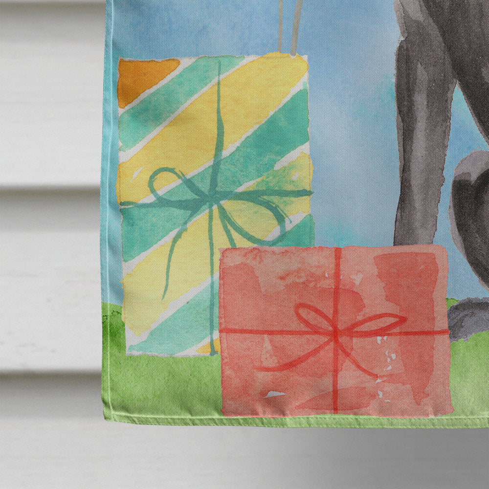Happy Birthday Black Labrador Retriever House Flag 28x40 Porch Sleeve Pole Decorative Outside Yard Banner Artwork Wall Hanging, Polyester