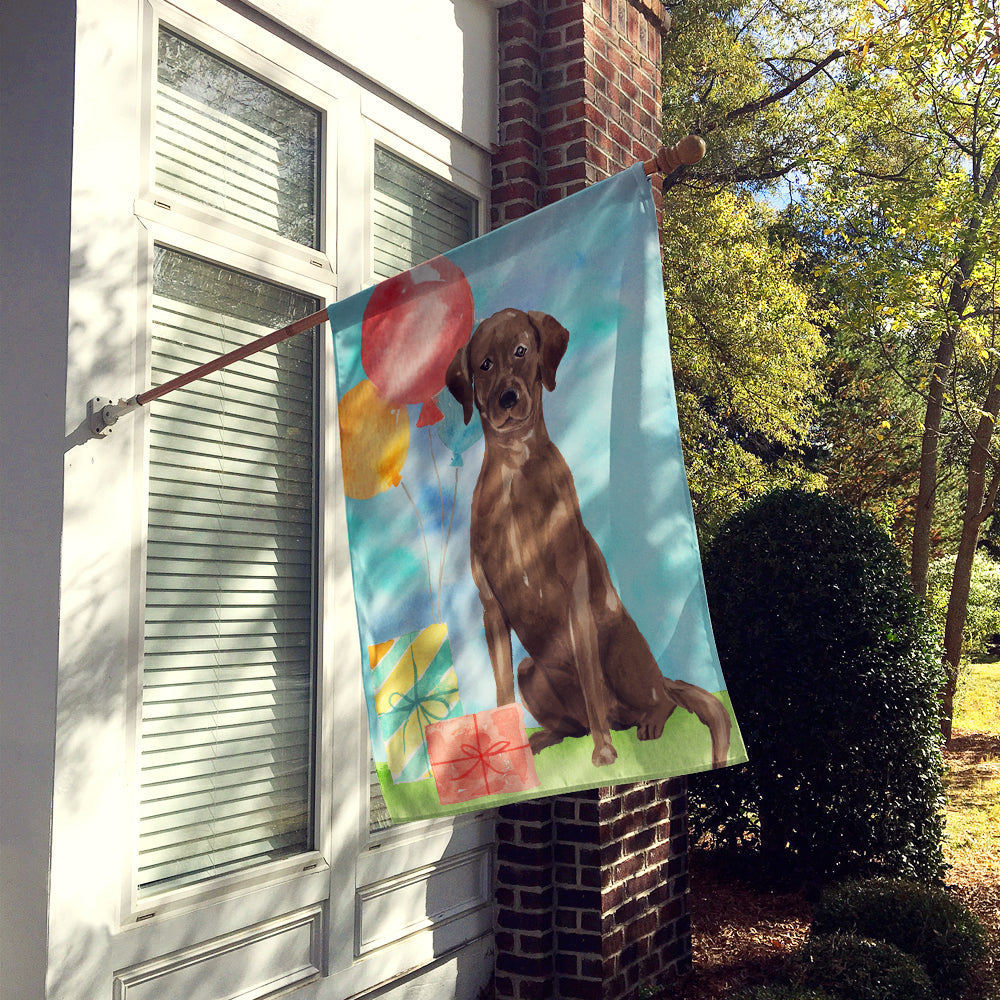 Happy Birthday Chocolate Labrador Retriever House Flag 28x40 Porch Sleeve Pole Decorative Outside Yard Banner Artwork Wall Hanging, Polyester