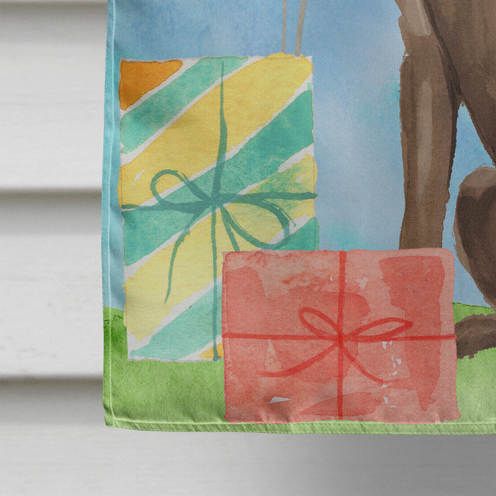 Happy Birthday Chocolate Labrador Retriever House Flag 28x40 Porch Sleeve Pole Decorative Outside Yard Banner Artwork Wall Hanging, Polyester