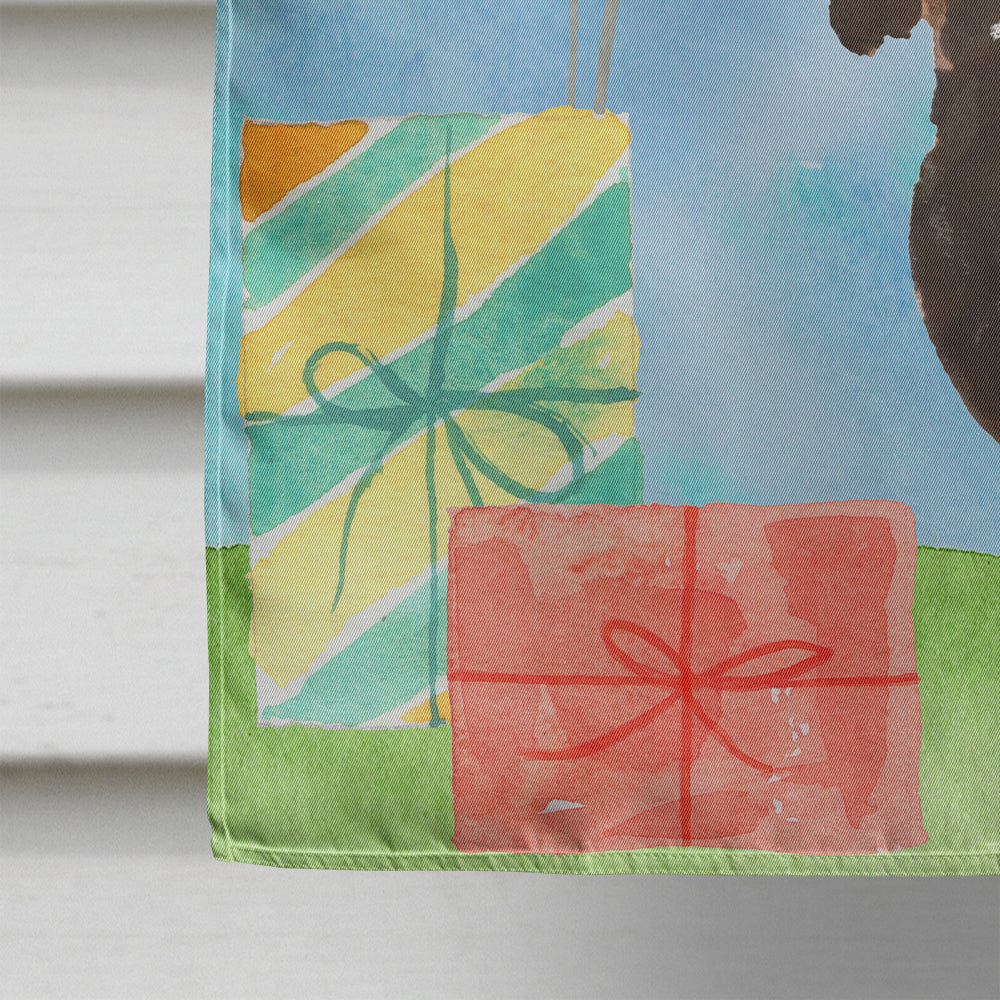 Happy Birthday Black and Tan Dachshund House Flag 28x40 Porch Sleeve Pole Decorative Outside Yard Banner Artwork Wall Hanging, Polyester