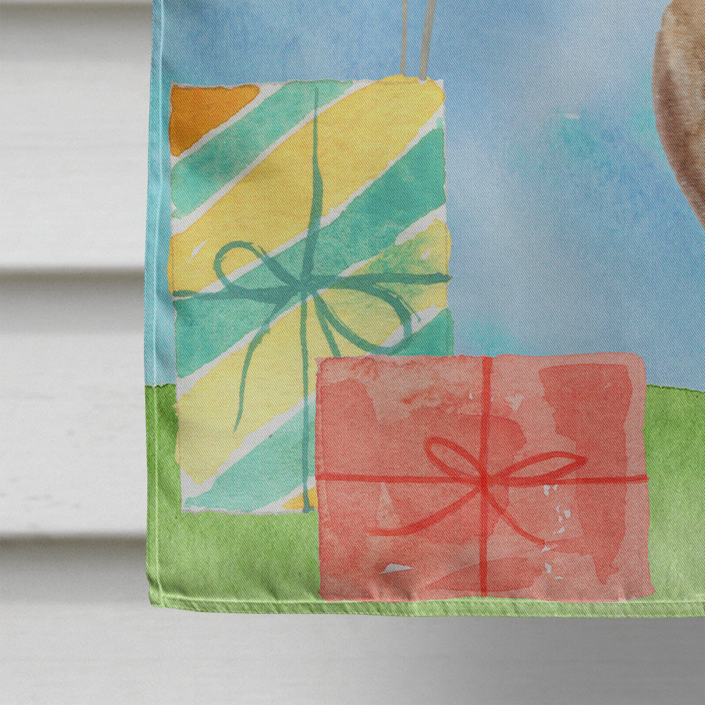 Happy Birthday Red Dachshund House Flag 28x40 Porch Sleeve Pole Decorative Outside Yard Banner Artwork Wall Hanging, Polyester