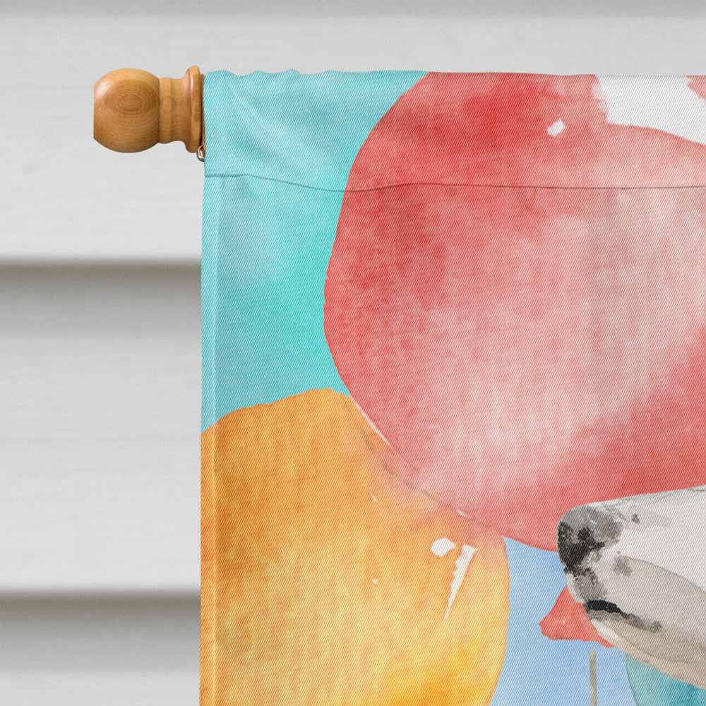 Happy Birthday Border Collie House Flag 28x40 Porch Sleeve Pole Decorative Outside Yard Banner Artwork Wall Hanging, Polyester