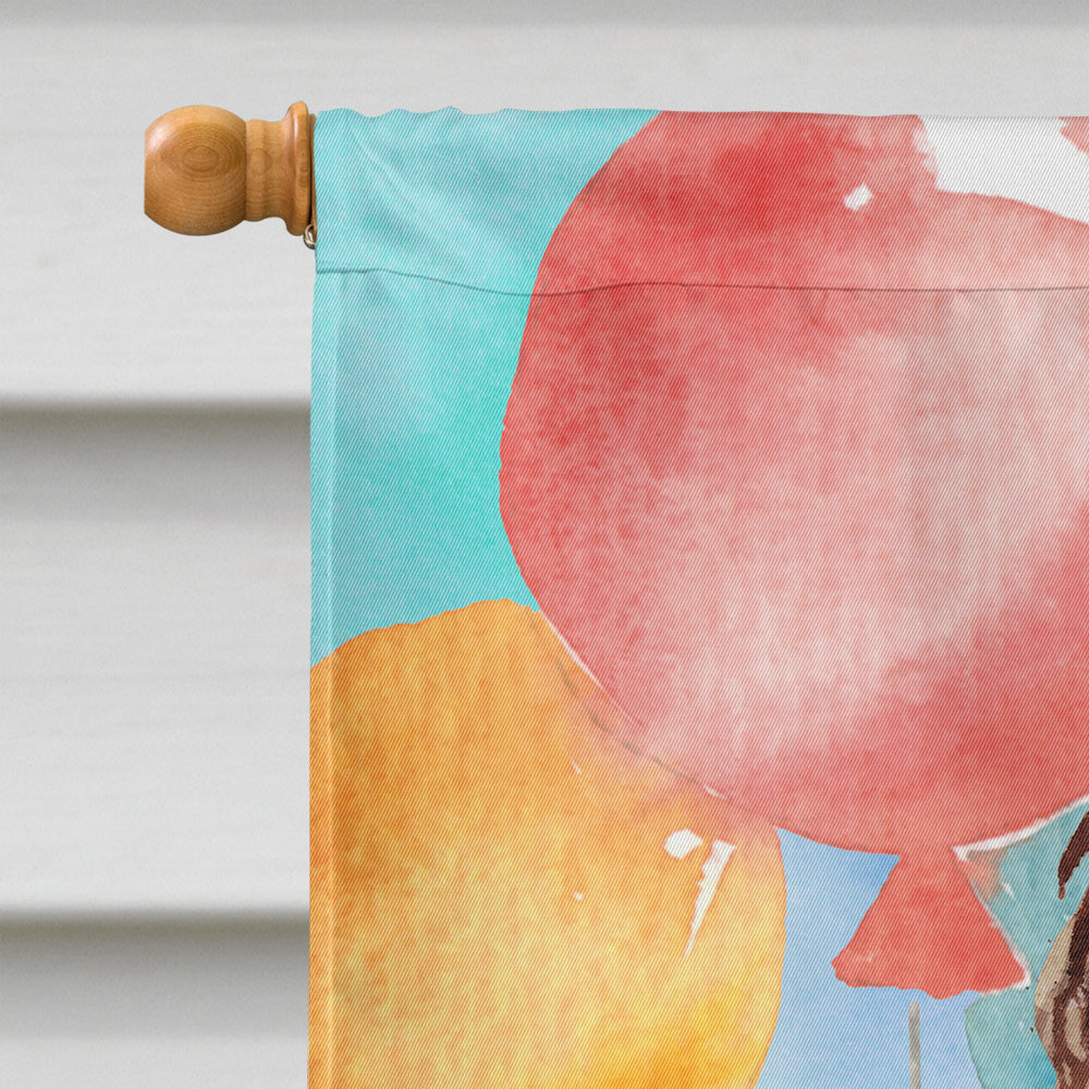 Happy Birthday Brown Cockapoo House Flag 28x40 Porch Sleeve Pole Decorative Outside Yard Banner Artwork Wall Hanging, Polyester