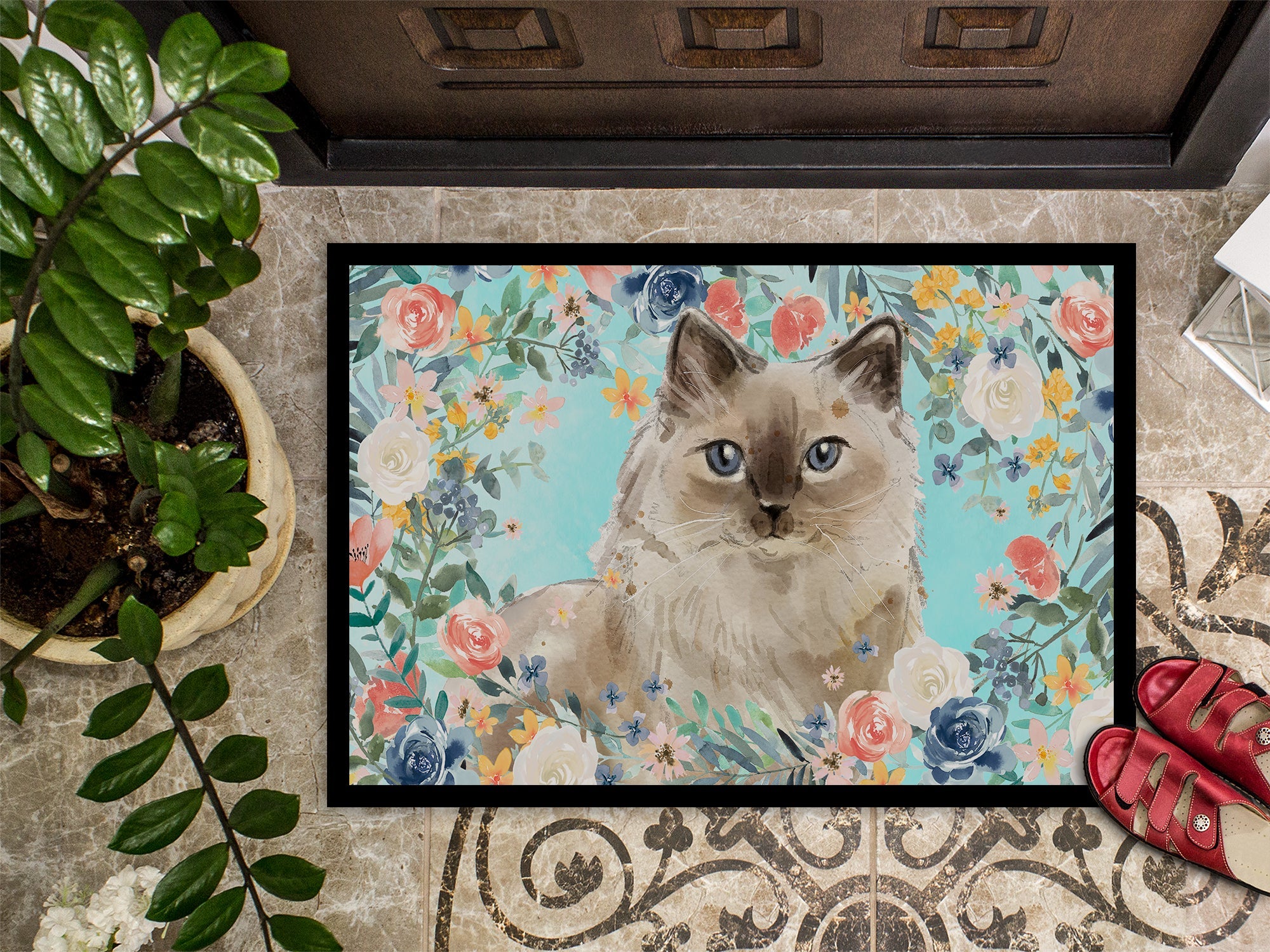Ragdoll Spring Flowers Doormat Indoor Outdoor 24H X 36W Front Door Mat Rugs for Entryway, Non Slip Washable Low Pile,
