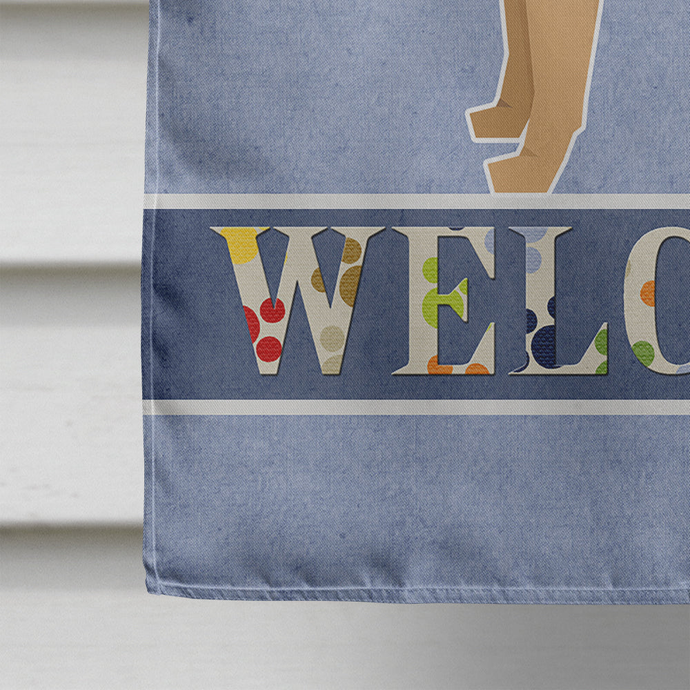 Border Terrier Welcome House Flag 28x40 Porch Sleeve Pole Decorative Outside Yard Banner Artwork Wall Hanging, Polyester