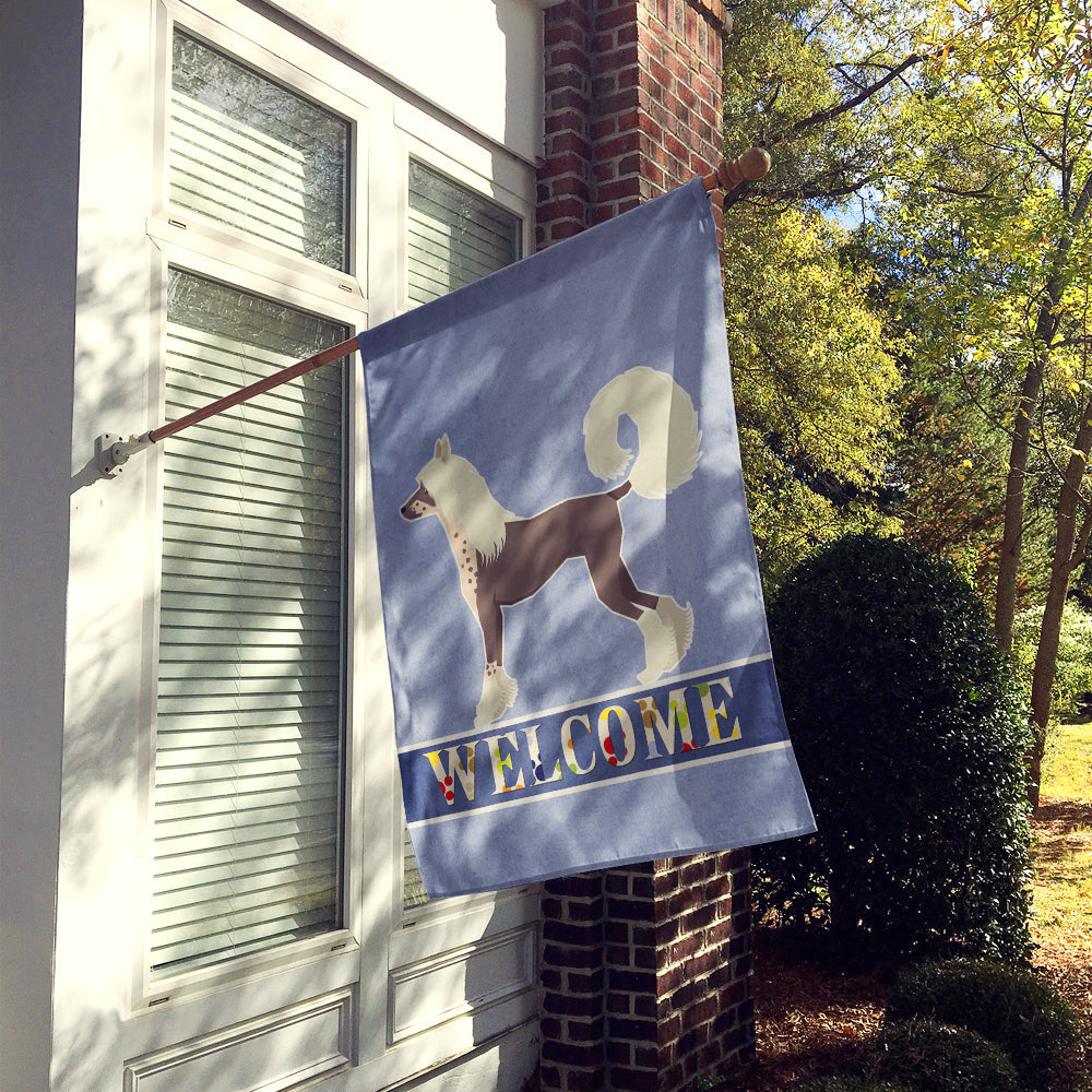 Chinese Crested Welcome House Flag 28x40 Porch Sleeve Pole Decorative Outside Yard Banner Artwork Wall Hanging, Polyester