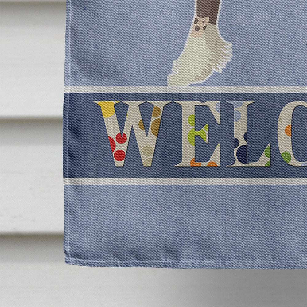 Chinese Crested Welcome House Flag 28x40 Porch Sleeve Pole Decorative Outside Yard Banner Artwork Wall Hanging, Polyester