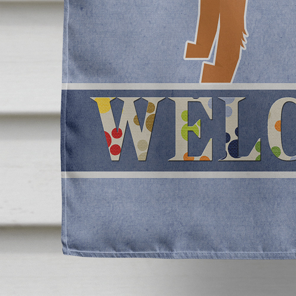 Irish Terrier Welcome House Flag 28x40 Porch Sleeve Pole Decorative Outside Yard Banner Artwork Wall Hanging, Polyester