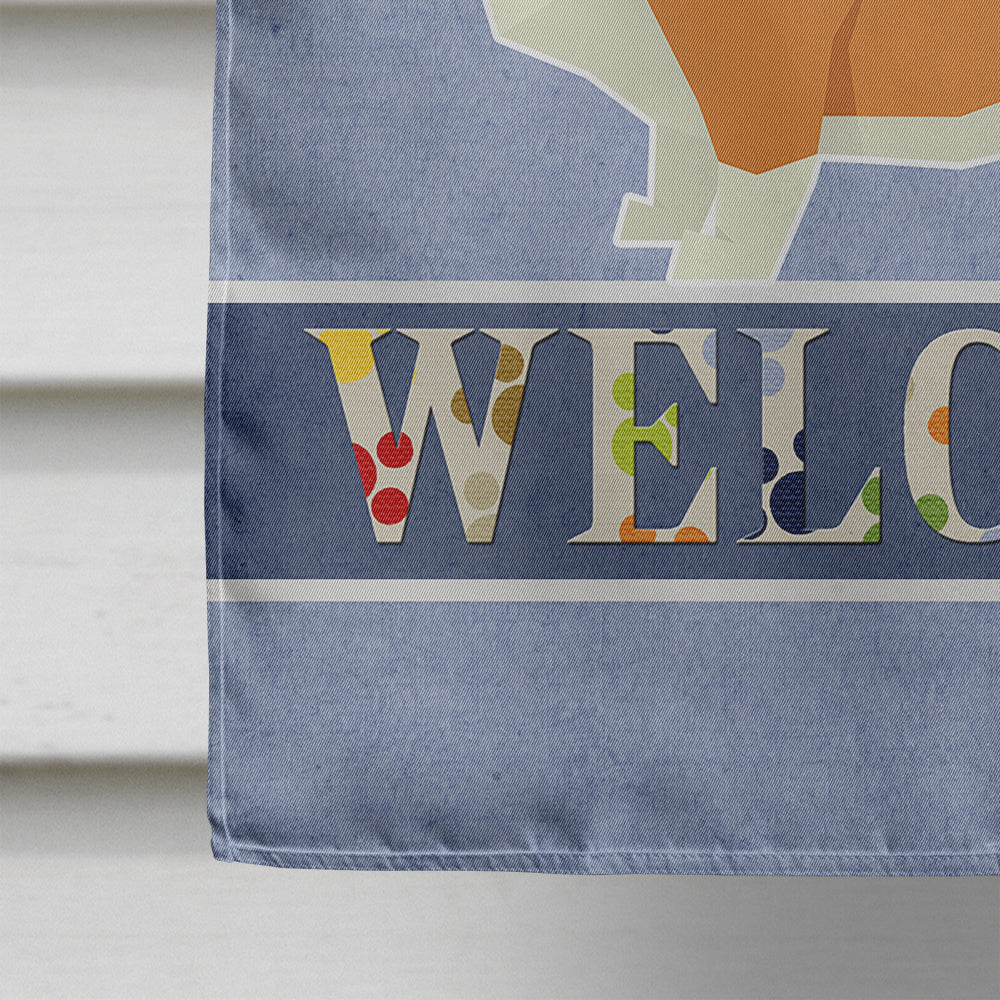 Pembroke Corgi Welcome House Flag 28x40 Porch Sleeve Pole Decorative Outside Yard Banner Artwork Wall Hanging, Polyester