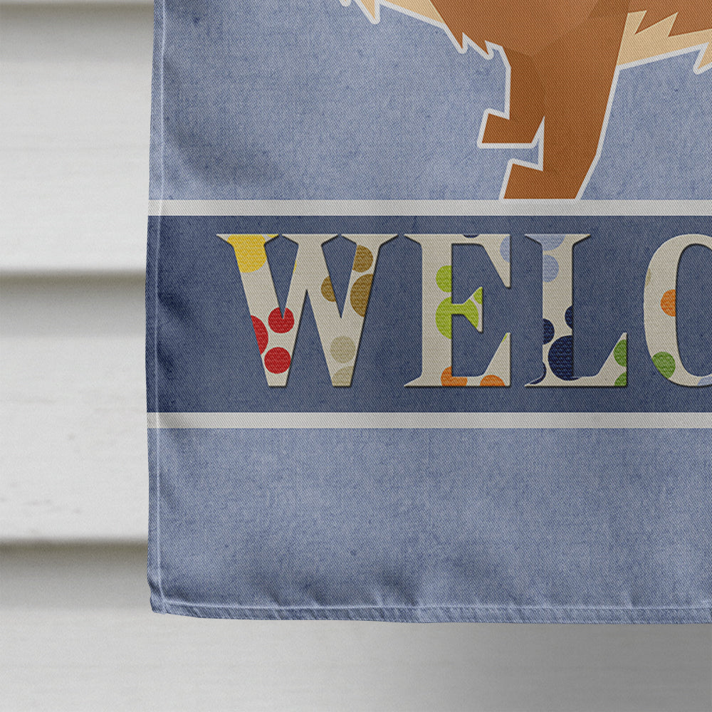 Pomeranian Welcome House Flag 28x40 Porch Sleeve Pole Decorative Outside Yard Banner Artwork Wall Hanging, Polyester