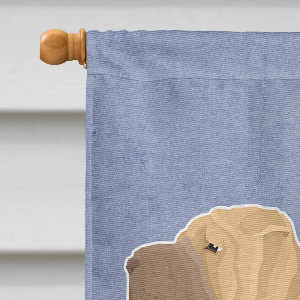 Shar Pei Welcome House Flag 28x40 Porch Sleeve Pole Decorative Outside Yard Banner Artwork Wall Hanging, Polyester