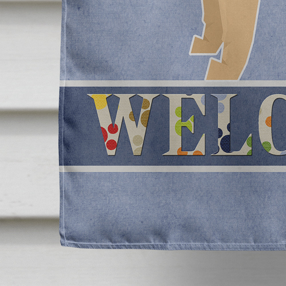 Shar Pei Welcome House Flag 28x40 Porch Sleeve Pole Decorative Outside Yard Banner Artwork Wall Hanging, Polyester