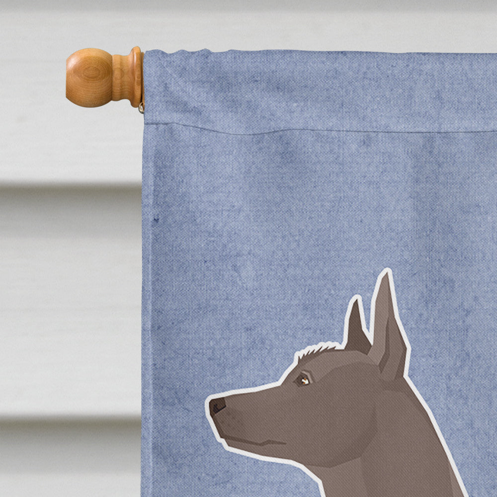 Mexican Hairless Dog Xolo Welcome House Flag 28x40 Porch Sleeve Pole Decorative Outside Yard Banner Artwork Wall Hanging, Polyester