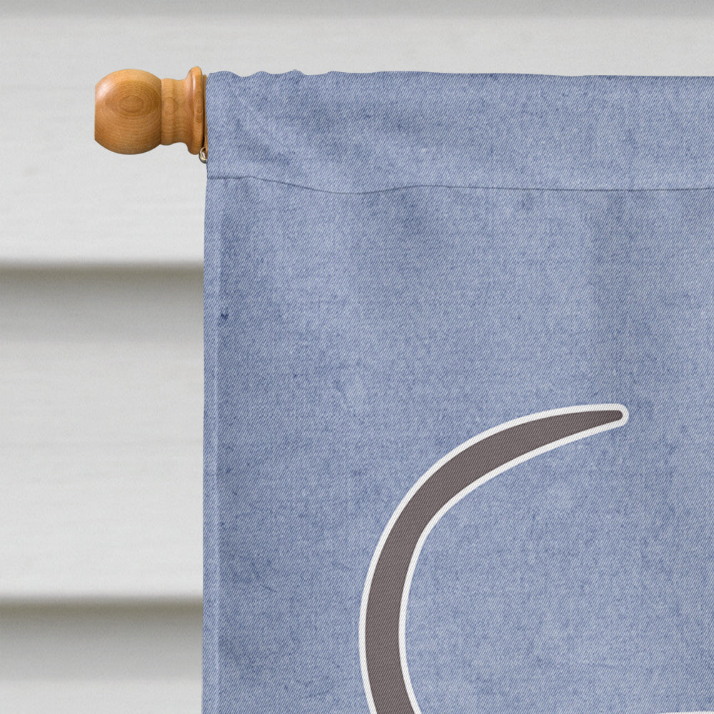 Abyssinian or African Hairless Dog Welcome House Flag 28x40 Porch Sleeve Pole Decorative Outside Yard Banner Artwork Wall Hanging, Polyester