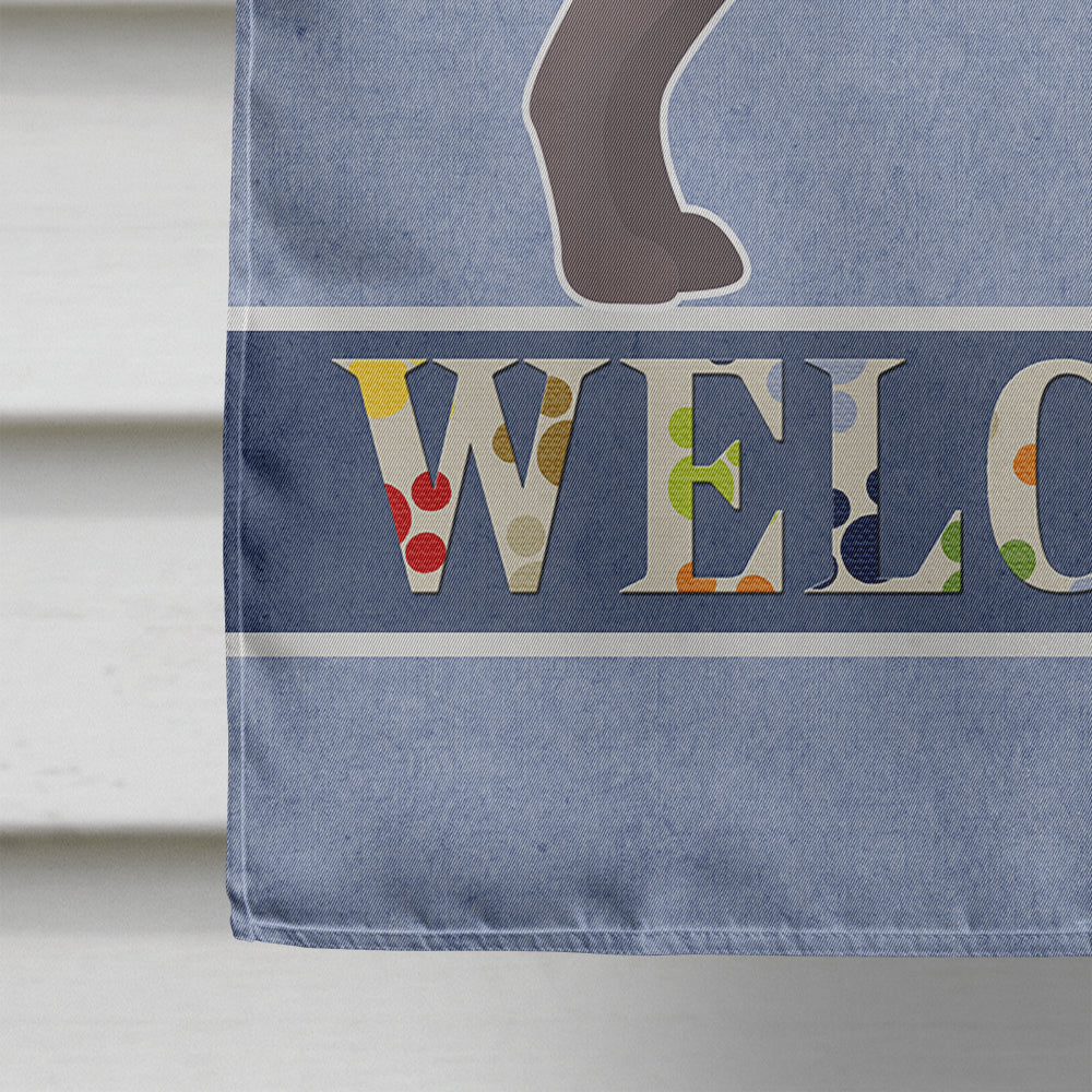 Abyssinian or African Hairless Dog Welcome House Flag 28x40 Porch Sleeve Pole Decorative Outside Yard Banner Artwork Wall Hanging, Polyester