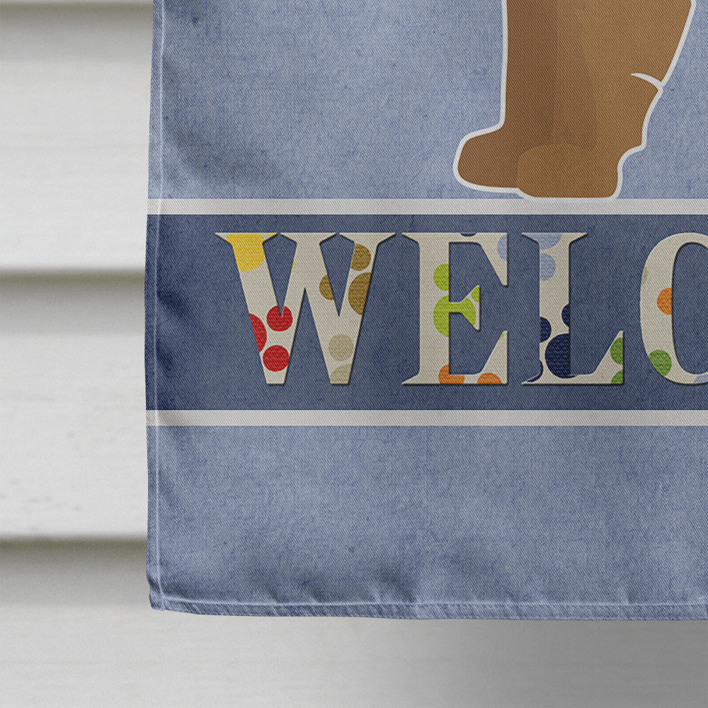 Tan Affenpinscher Welcome House Flag 28x40 Porch Sleeve Pole Decorative Outside Yard Banner Artwork Wall Hanging, Polyester