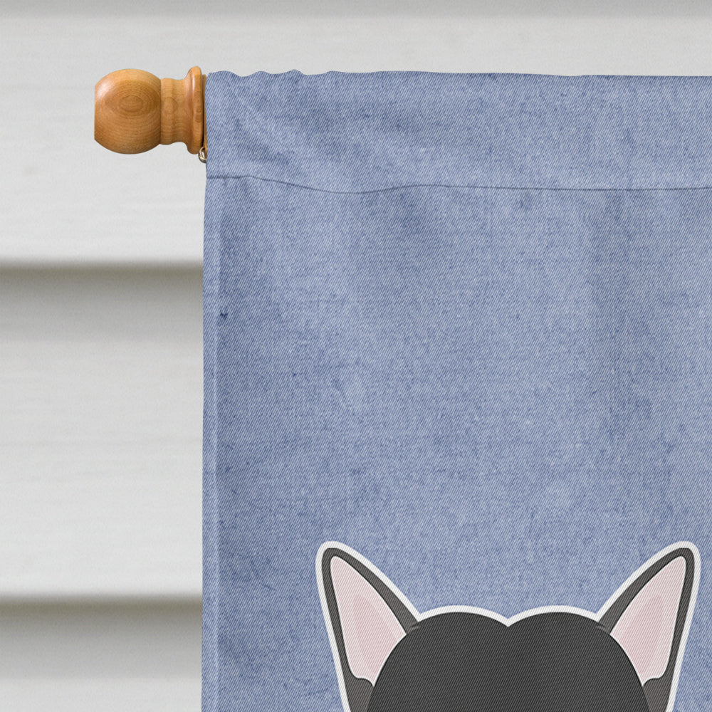 Chinese Crested Welcome House Flag 28x40 Porch Sleeve Pole Decorative Outside Yard Banner Artwork Wall Hanging, Polyester