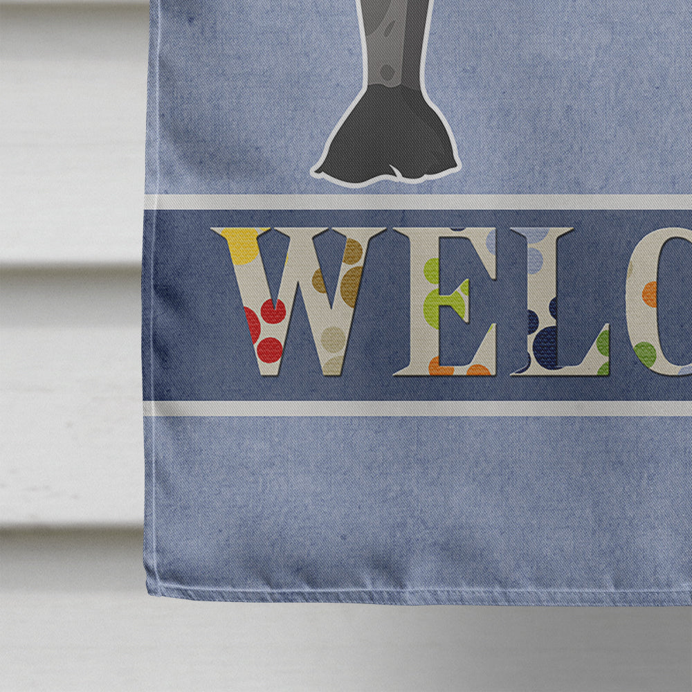 Chinese Crested Welcome House Flag 28x40 Porch Sleeve Pole Decorative Outside Yard Banner Artwork Wall Hanging, Polyester