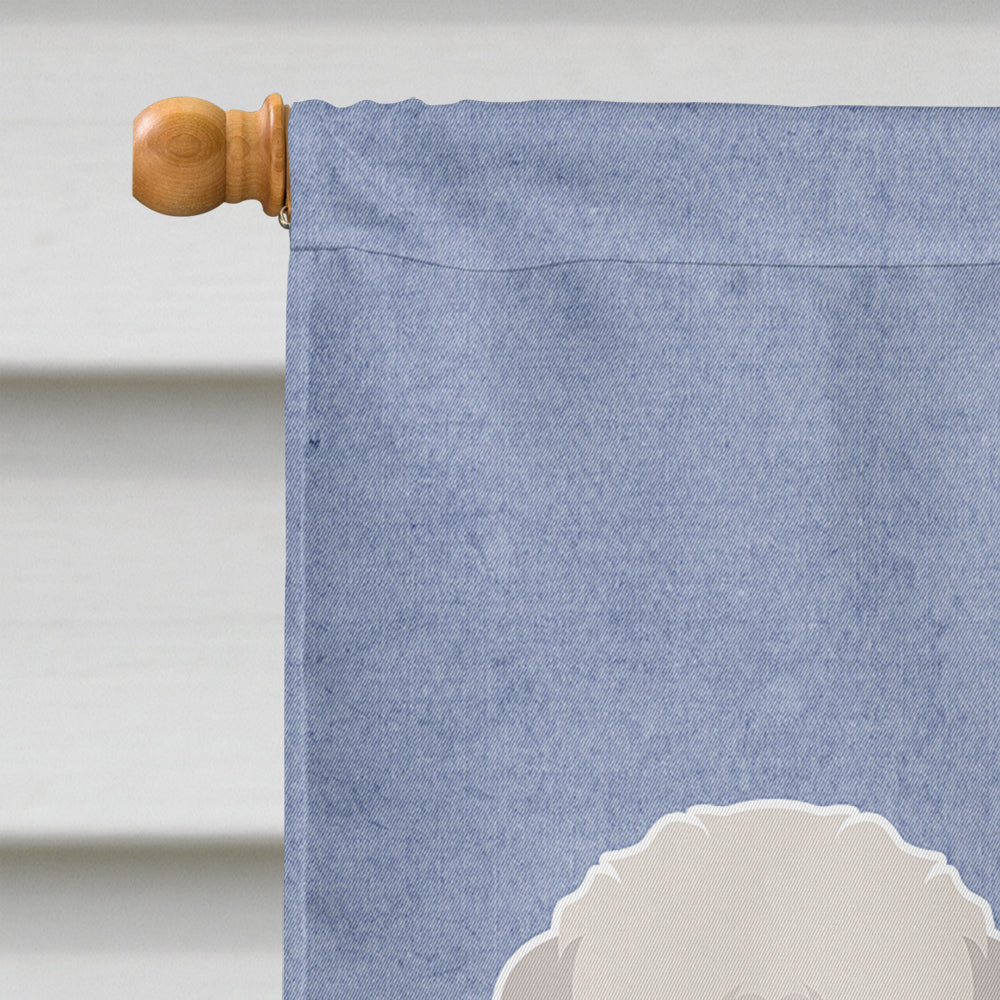 Cyprus Poodle Welcome House Flag 28x40 Porch Sleeve Pole Decorative Outside Yard Banner Artwork Wall Hanging, Polyester