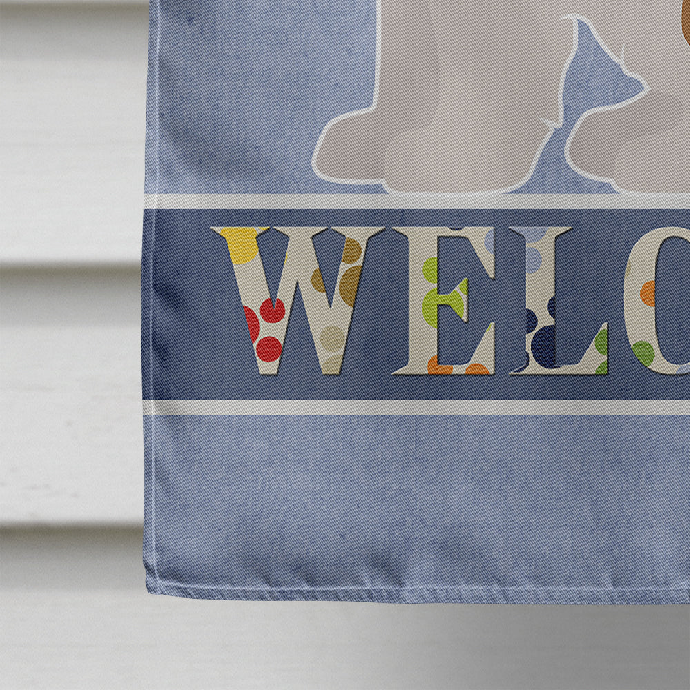 Imperial Shih Tzu Welcome House Flag 28x40 Porch Sleeve Pole Decorative Outside Yard Banner Artwork Wall Hanging, Polyester