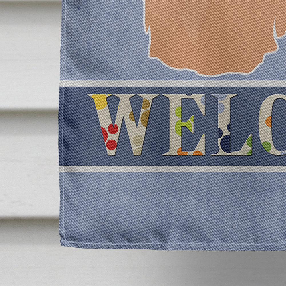 Tan Lhasa Apso Welcome House Flag 28x40 Porch Sleeve Pole Decorative Outside Yard Banner Artwork Wall Hanging, Polyester