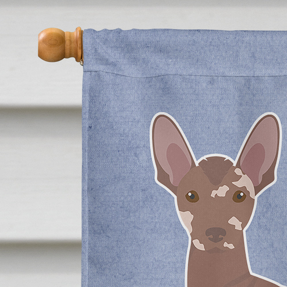 Mexican Hairless Dog Welcome House Flag 28x40 Porch Sleeve Pole Decorative Outside Yard Banner Artwork Wall Hanging, Polyester