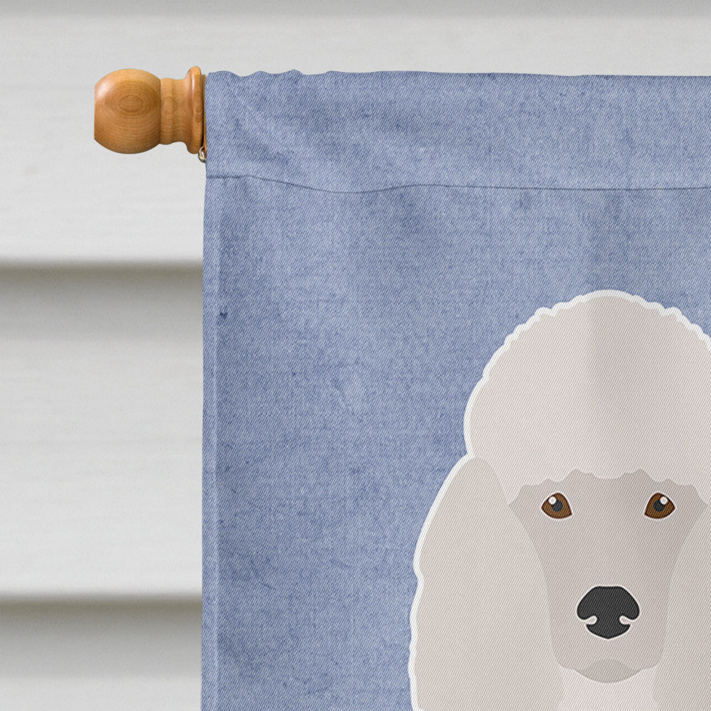 Miniature Poodle Welcome House Flag 28x40 Porch Sleeve Pole Decorative Outside Yard Banner Artwork Wall Hanging, Polyester