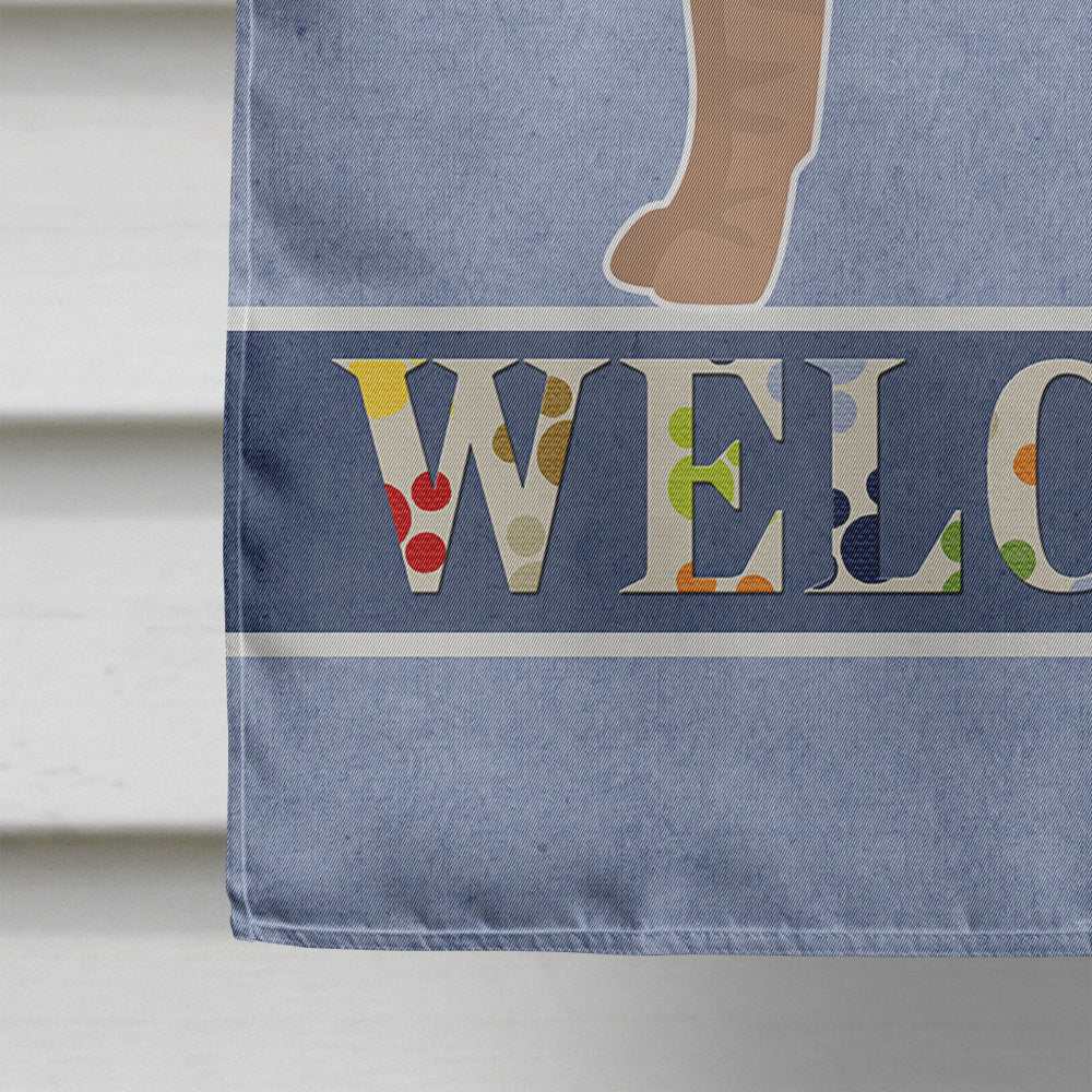 Shar Pei Welcome House Flag 28x40 Porch Sleeve Pole Decorative Outside Yard Banner Artwork Wall Hanging, Polyester