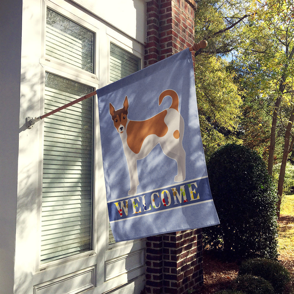 Tenterfield Terrier Welcome House Flag 28x40 Porch Sleeve Pole Decorative Outside Yard Banner Artwork Wall Hanging, Polyester
