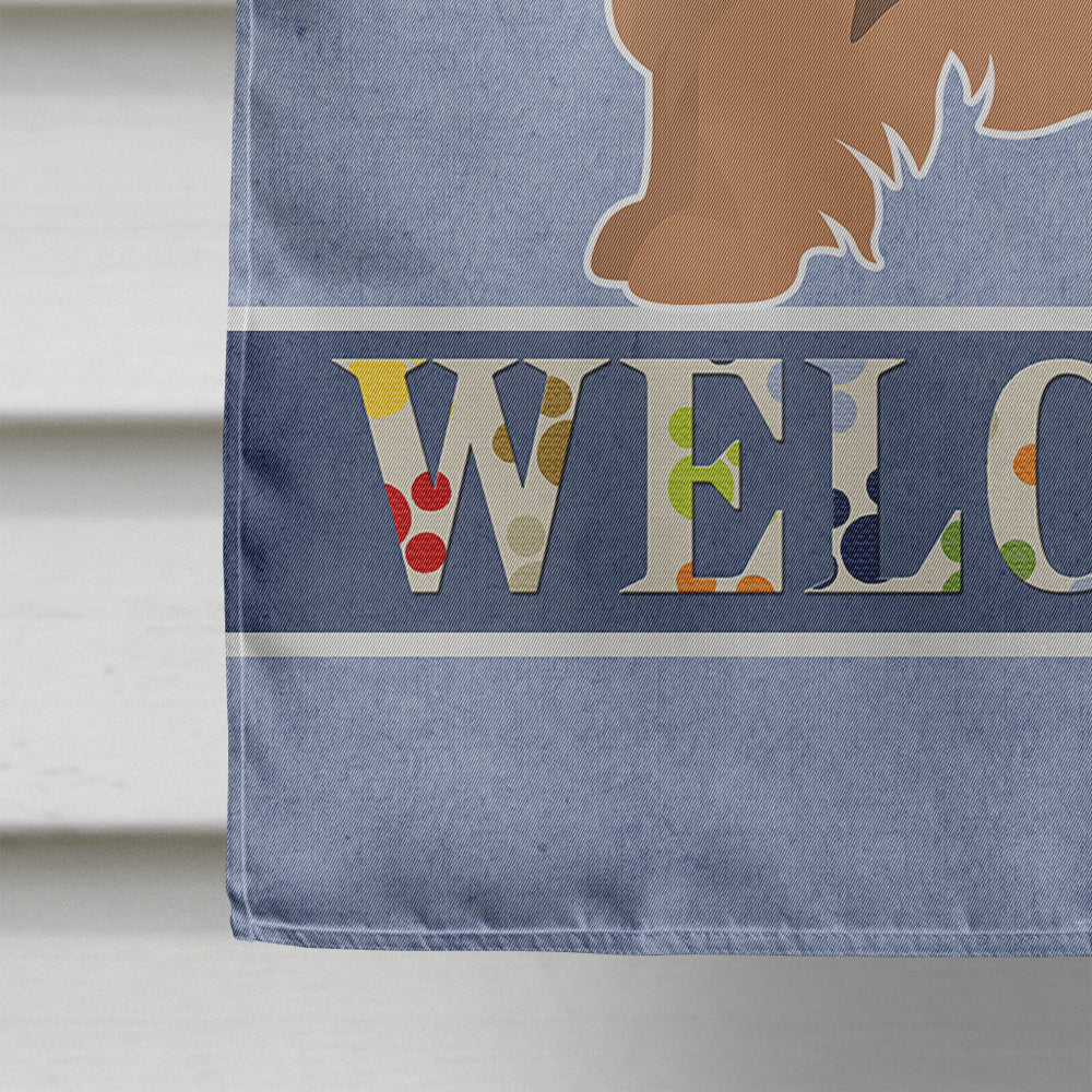 Tibetan Spaniel Welcome House Flag 28x40 Porch Sleeve Pole Decorative Outside Yard Banner Artwork Wall Hanging, Polyester
