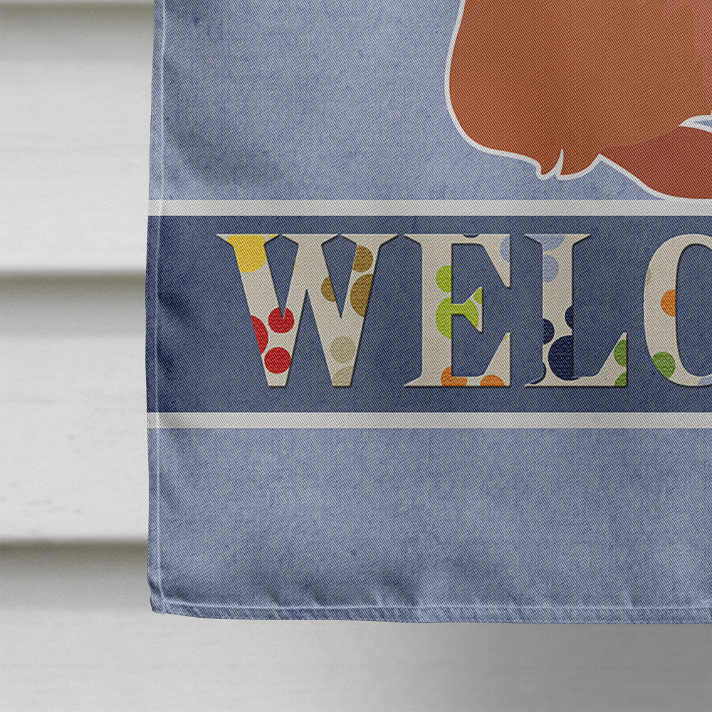 Brussels Griffon Welcome House Flag 28x40 Porch Sleeve Pole Decorative Outside Yard Banner Artwork Wall Hanging, Polyester