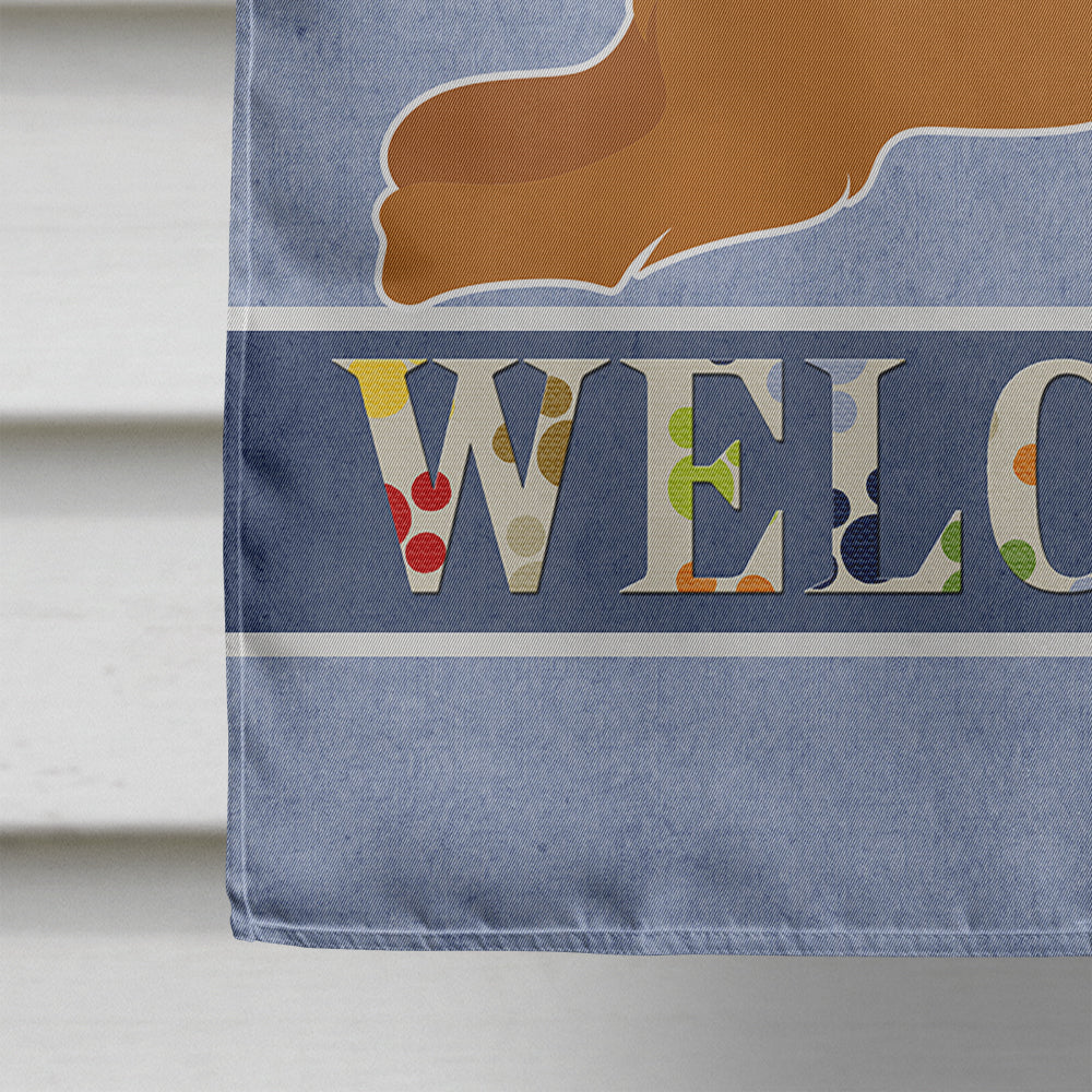 Ruby Cavalier King Charles Spaniel Welcome House Flag 28x40 Porch Sleeve Pole Decorative Outside Yard Banner Artwork Wall Hanging, Polyester