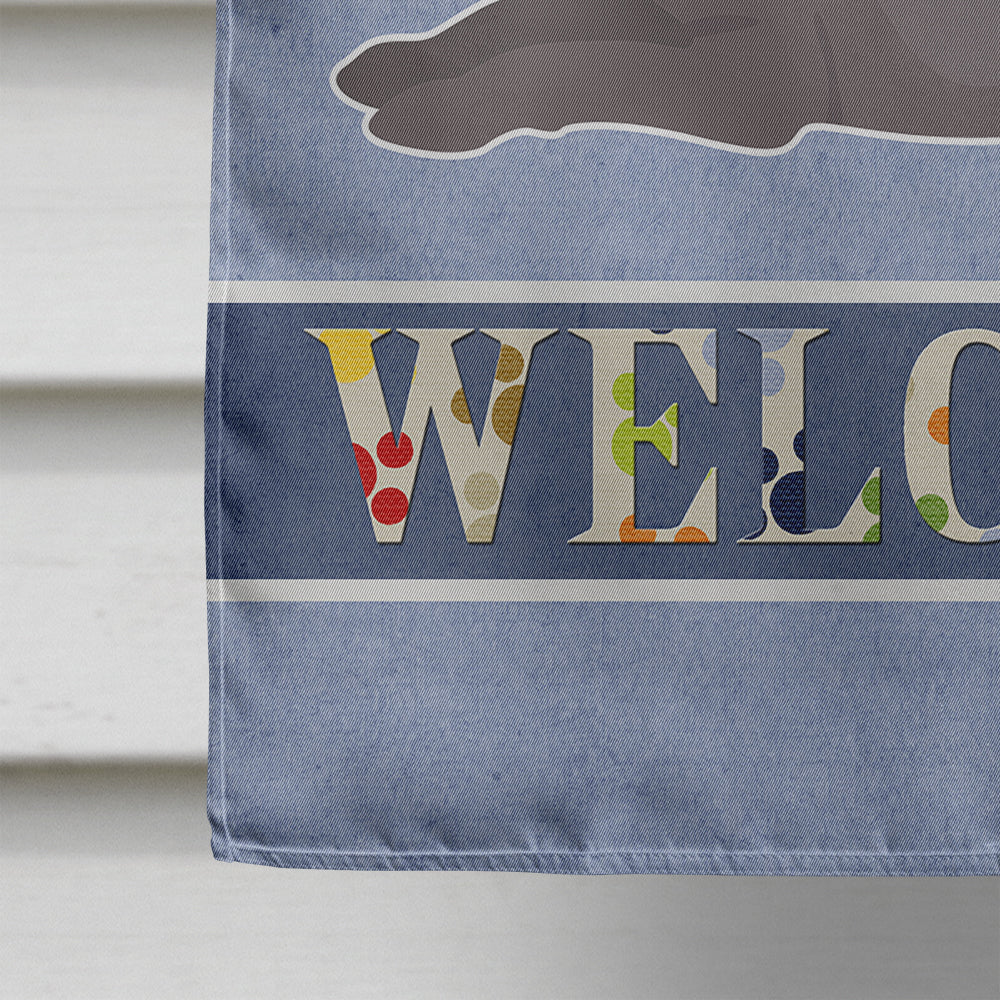 Ecuadorian Hairless Dog Welcome House Flag 28x40 Porch Sleeve Pole Decorative Outside Yard Banner Artwork Wall Hanging, Polyester