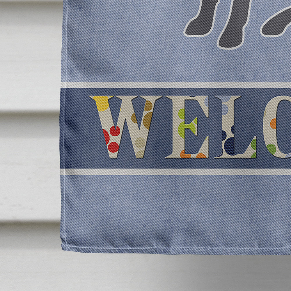 Peruvian Hairless Dog Welcome House Flag 28x40 Porch Sleeve Pole Decorative Outside Yard Banner Artwork Wall Hanging, Polyester