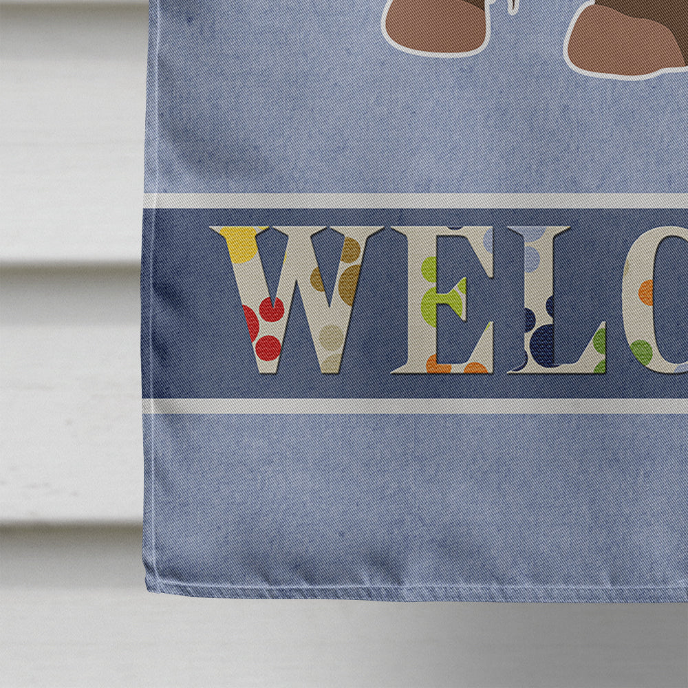 Brown Russian Tsvetnaya Bolonka Lap Dog  Welcome House Flag 28x40 Porch Sleeve Pole Decorative Outside Yard Banner Artwork Wall Hanging, Polyester