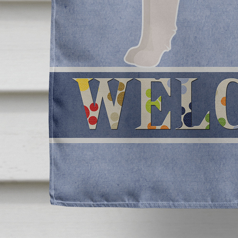 Borador Welcome House Flag 28x40 Porch Sleeve Pole Decorative Outside Yard Banner Artwork Wall Hanging, Polyester