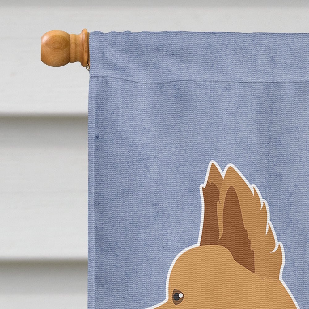 Tan Chion Welcome House Flag 28x40 Porch Sleeve Pole Decorative Outside Yard Banner Artwork Wall Hanging, Polyester
