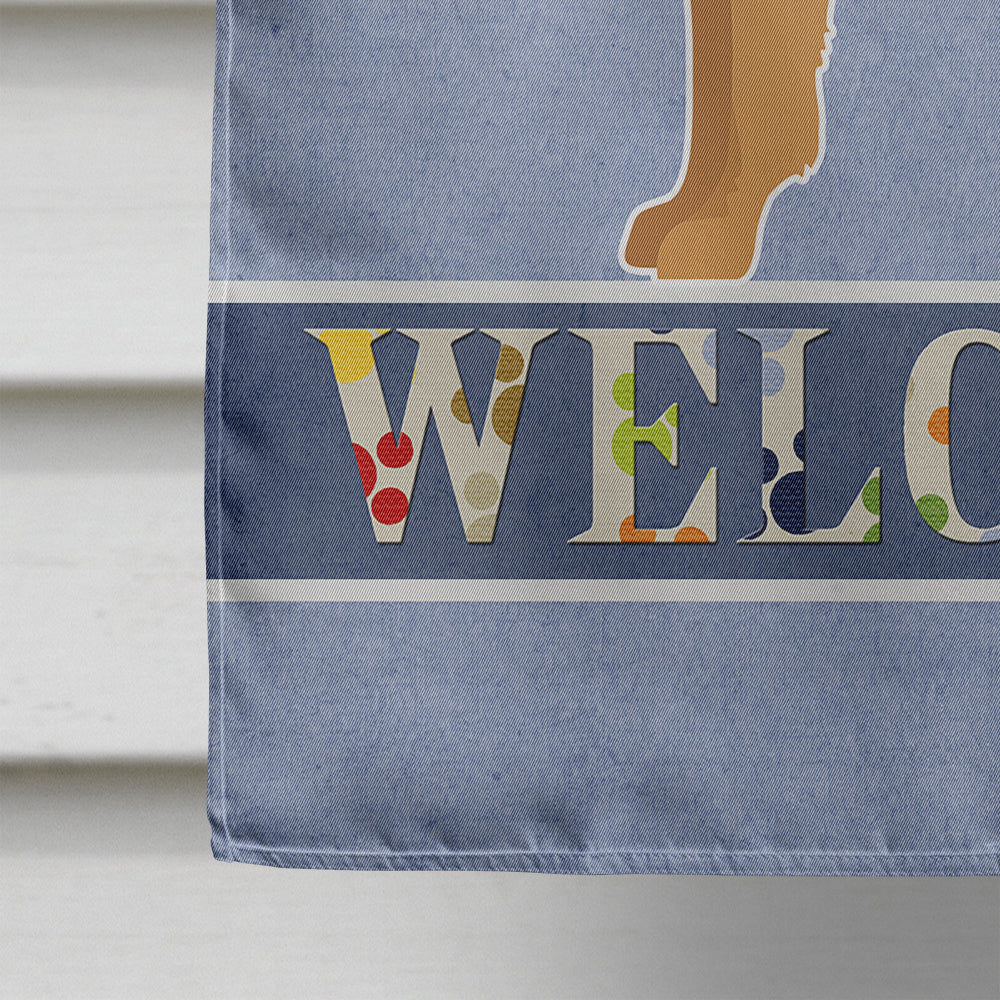 Tan Chion Welcome House Flag 28x40 Porch Sleeve Pole Decorative Outside Yard Banner Artwork Wall Hanging, Polyester