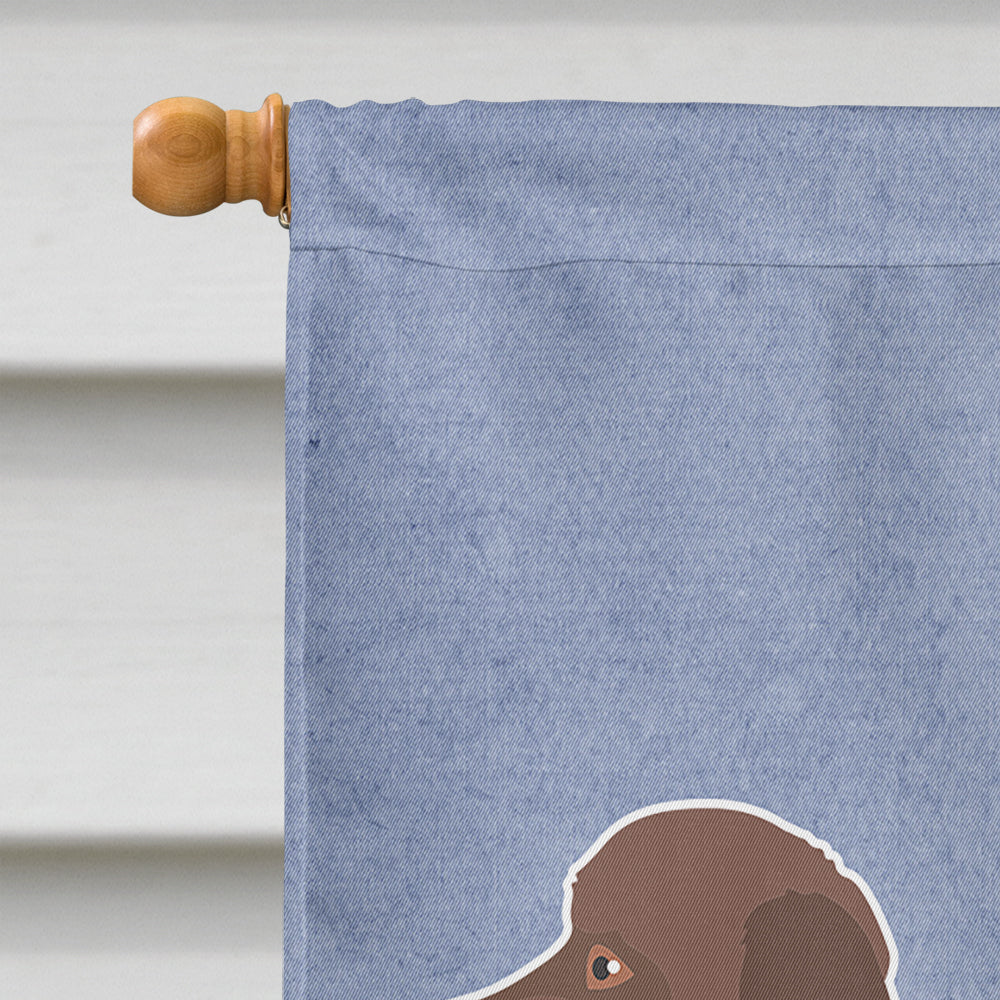 Brown Goldendoodle Welcome House Flag 28x40 Porch Sleeve Pole Decorative Outside Yard Banner Artwork Wall Hanging, Polyester