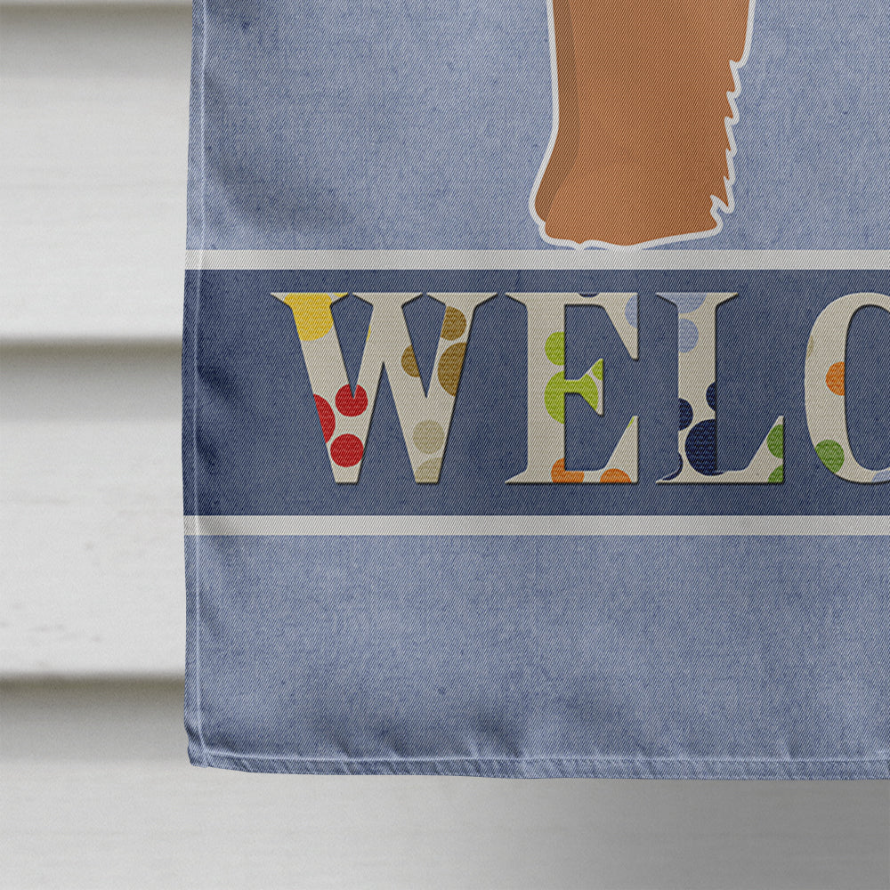 Shi Chi Welcome House Flag 28x40 Porch Sleeve Pole Decorative Outside Yard Banner Artwork Wall Hanging, Polyester