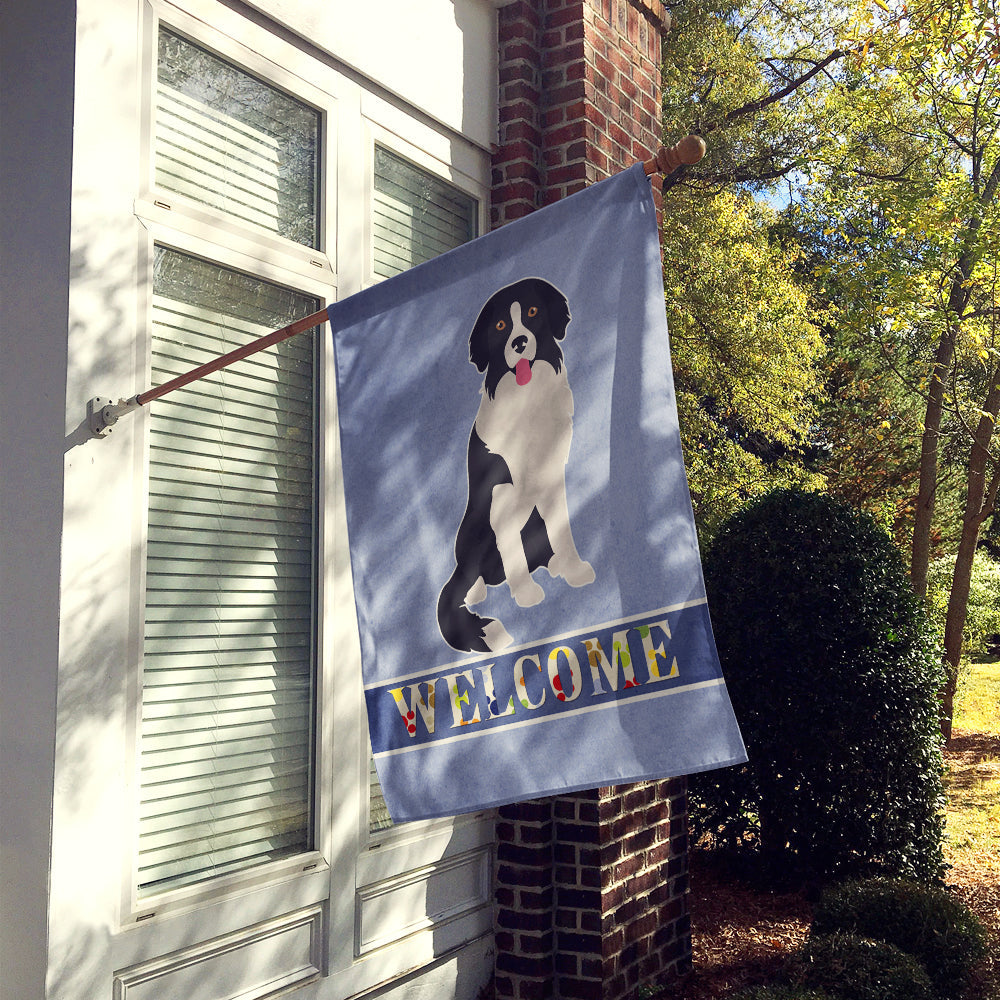 Borador Welcome House Flag 28x40 Porch Sleeve Pole Decorative Outside Yard Banner Artwork Wall Hanging, Polyester