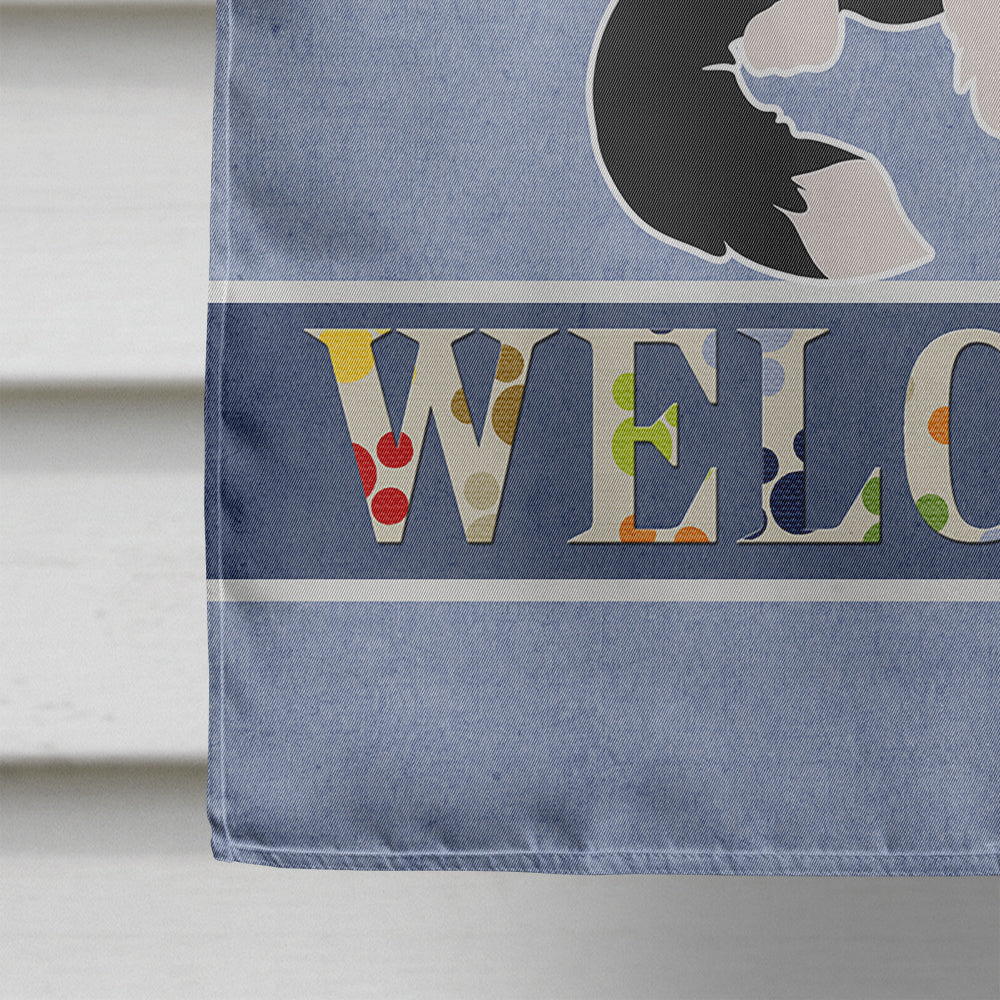 Borador Welcome House Flag 28x40 Porch Sleeve Pole Decorative Outside Yard Banner Artwork Wall Hanging, Polyester