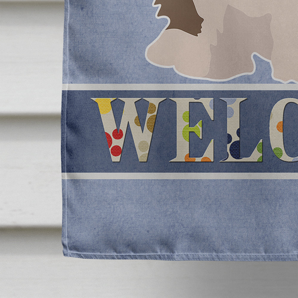 Shi Chi #3 Welcome House Flag 28x40 Porch Sleeve Pole Decorative Outside Yard Banner Artwork Wall Hanging, Polyester