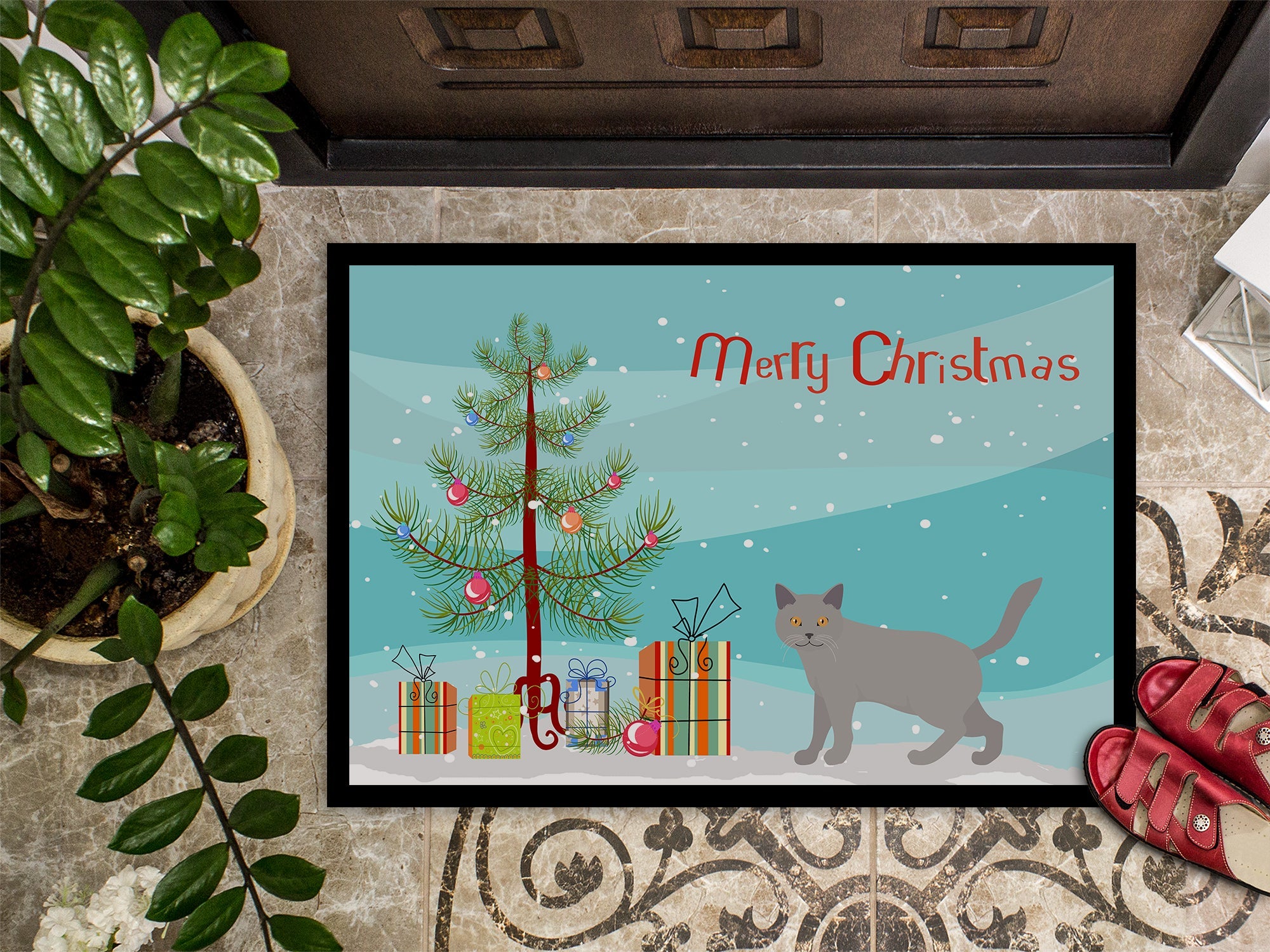 Chartreux Cat Christmas Doormat Indoor Outdoor 18H X 27W Front Door Mat Rugs for Entryway, Non Slip Washable