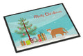 European Shorthair Cat Christmas Doormat Indoor Outdoor 24H X 36W Front Door Mat Rugs for Entryway, Non Slip Washable Low Pile,